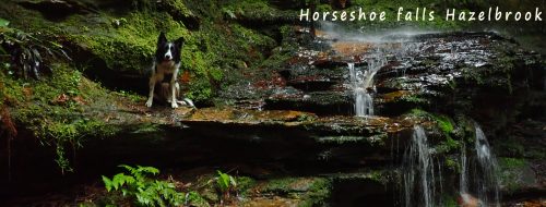 horseshoe falls