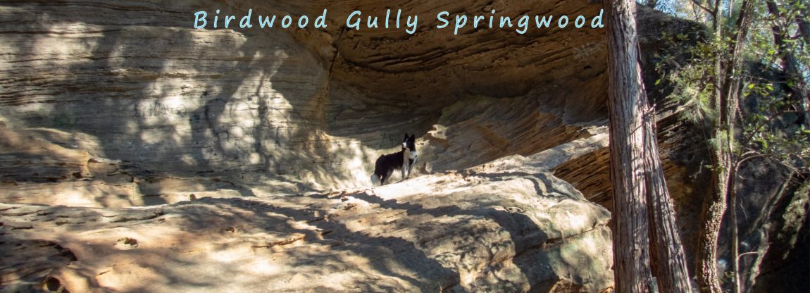 title birdwood gully