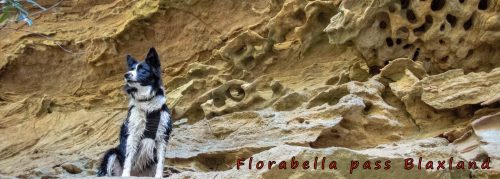florabella pass