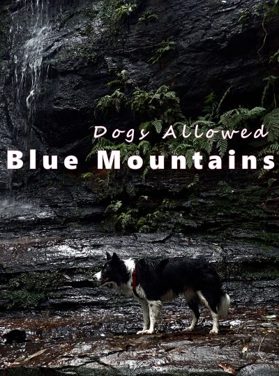 blue mountains