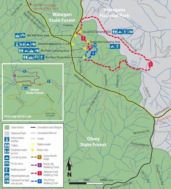 olney state forest map